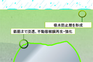 鉄筋腐食抑制タイプ表面含侵工法（プロテクトシルCIT)